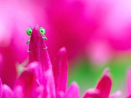 Win-win strategies for Binary Options for trading on trade platform