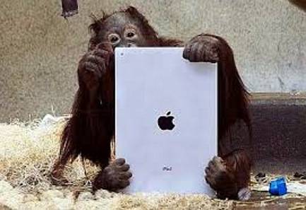 How to Trade Gaps Options with brokers BINOMO, IQOPTION, OLYMPTRADE