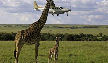 How to trade options on news in BINOMO, IQOPTION, OLYMPTRADE trading platforms.