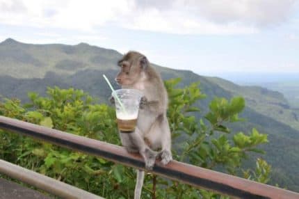 Averaging strategy for binary options based on CME reports