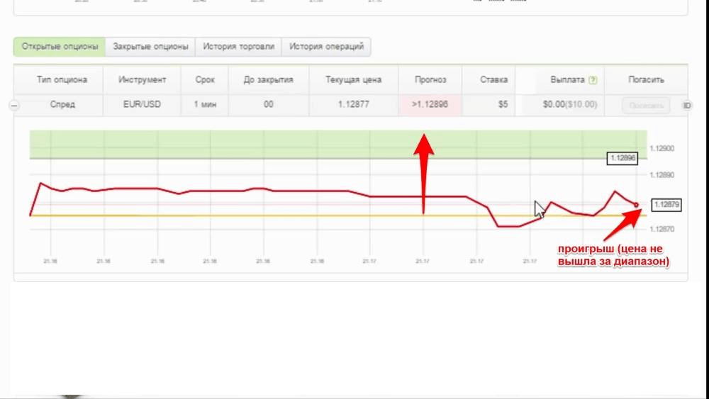 What are Binary Options? Types of options, terms, strategies for making money