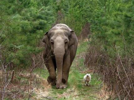 What are Binary Options? Types of options, terms, strategies for making money