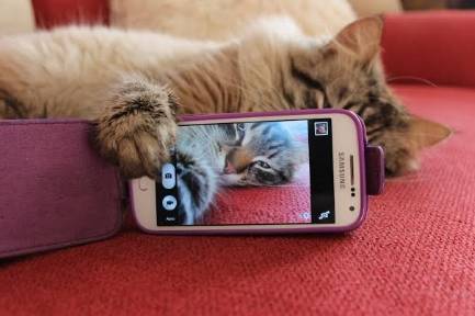 Is Olymp Trade a scam? Review. Official website Olymp Trade