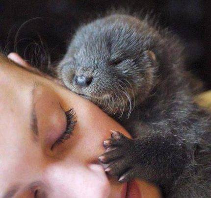 What days are better to trade Binary Options?