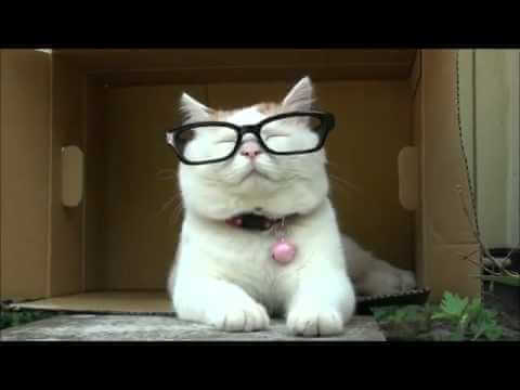 Strategies for 1 minute (60 seconds), 5 minutes, 15, 60 minutes or one hour for binary options