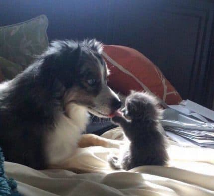 Combining different types and expirations in Binary options strategies