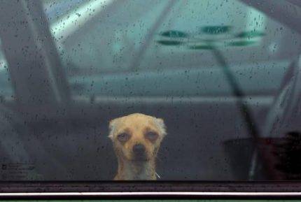 All about regulation in Binary Options