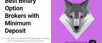 Best Binary Option Brokers with Minimum Deposit