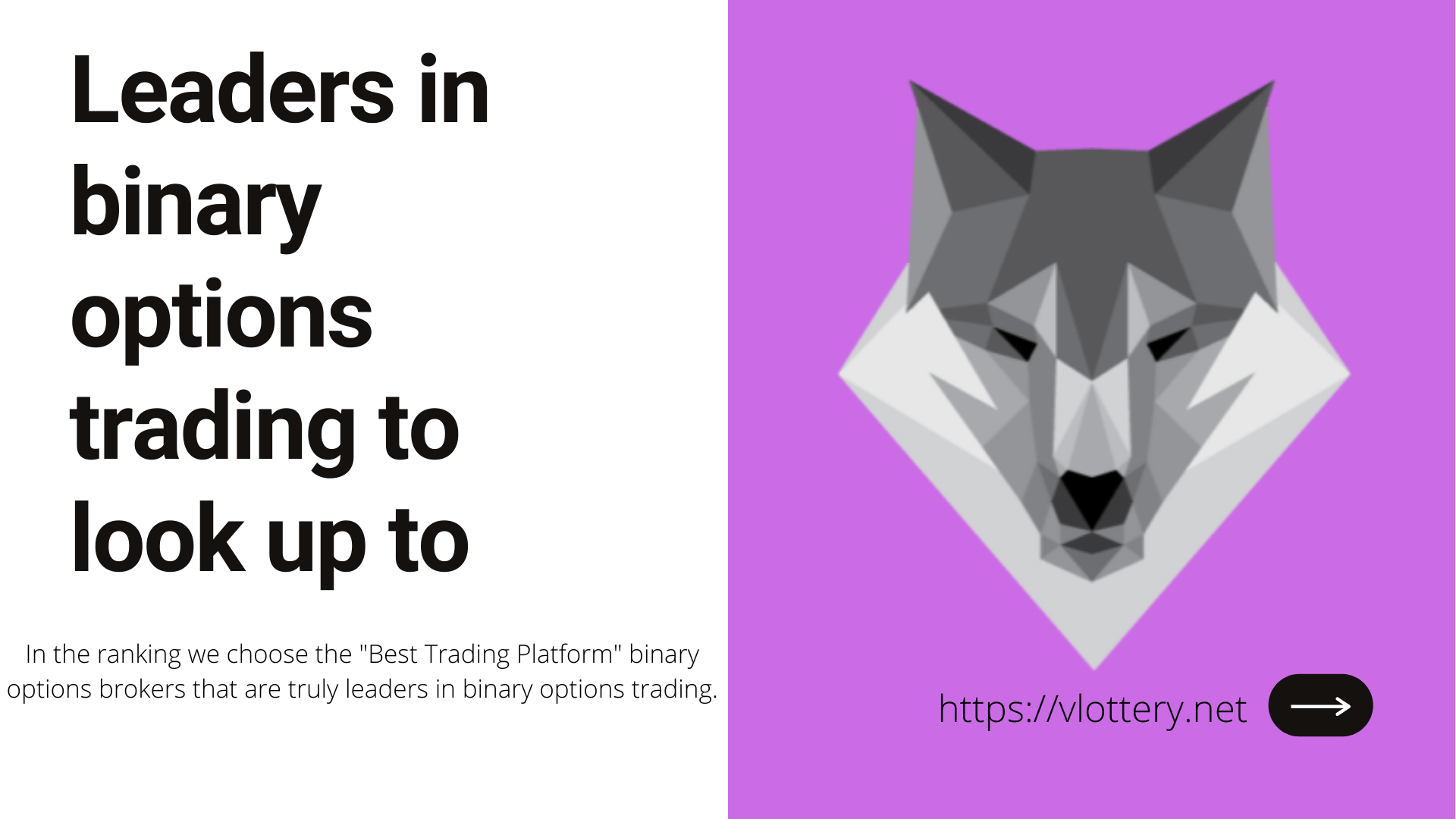 Leaders in binary options trading to look up to