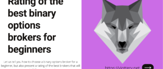 Rating of the best binary options brokers for beginners
