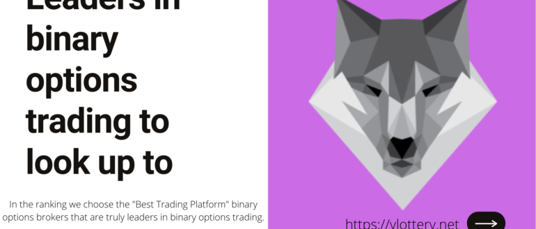 Leaders in binary options trading to look up to